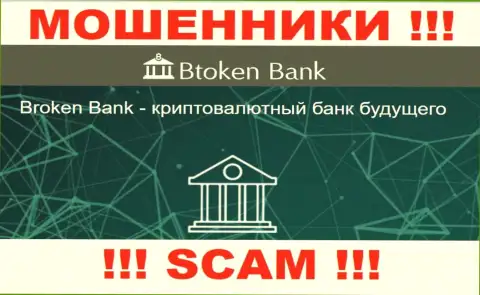 Будьте осторожны, род деятельности BtokenBank Com, Инвестиции - это лохотрон !!!