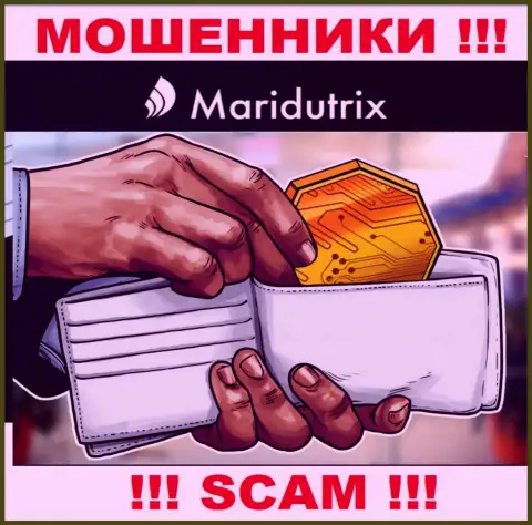 Крипто кошелек - именно в указанной области работают коварные internet-мошенники Maridutrix Com