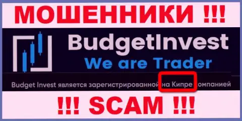 С организацией BudgetInvest Org сотрудничать ОЧЕНЬ ОПАСНО - скрываются в оффшоре на территории - Cyprus