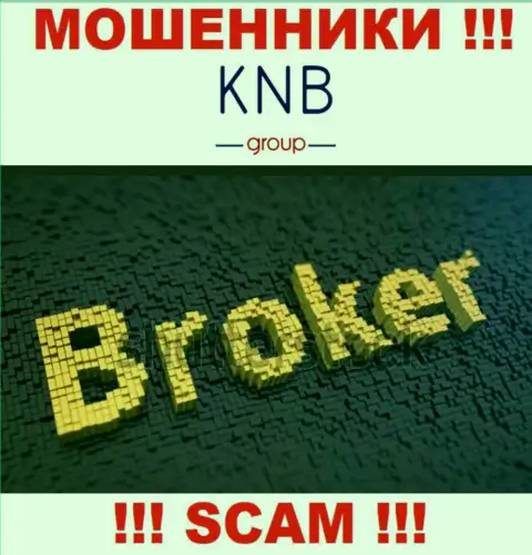 Направление деятельности мошеннической конторы KNB Group - это Брокер