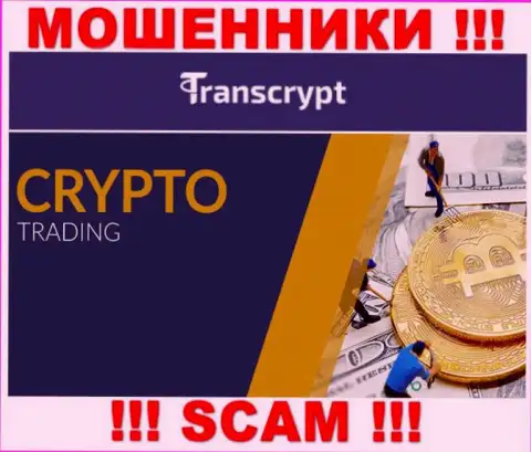 Транс Крипт - это internet-мошенники ! Вид деятельности которых - Crypto trading