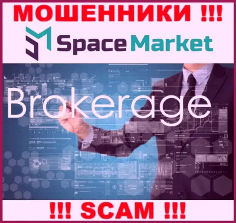 Направление деятельности преступно действующей организации SpaceMarket - это Broker