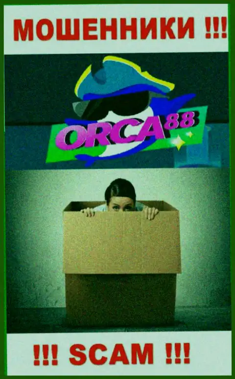 Начальство Orca88 засекречено, на их официальном информационном портале этой инфы нет