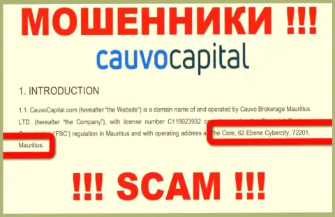 Невозможно забрать обратно средства у компании Cauvo Capital - они засели в офшоре по адресу - The Core, 62 Ebene Cybercity, 72201, Mauritius