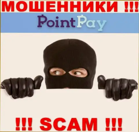 Об руководстве мошеннической компании Point Pay LLC инфы не найти
