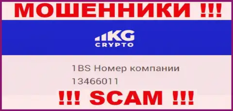 Регистрационный номер компании CryptoKG, Inc, в которую финансовые активы рекомендуем не перечислять: 13466011