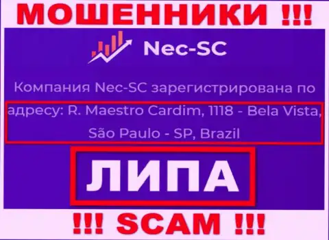 Где реально расположена компания NEC-SC Com непонятно, информация на сайте фейк