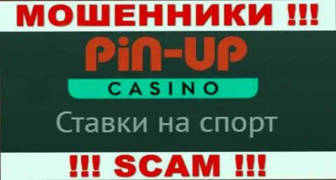 Основная работа Пин Ап Казино - это Casino, будьте очень осторожны, действуют преступно