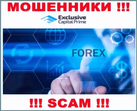 Forex это сфера деятельности преступно действующей компании Exclusive Capital
