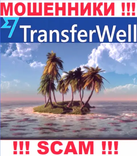 Не загремите в грязные руки интернет кидал TransferWell Net - не предоставляют информацию о официальном адресе регистрации
